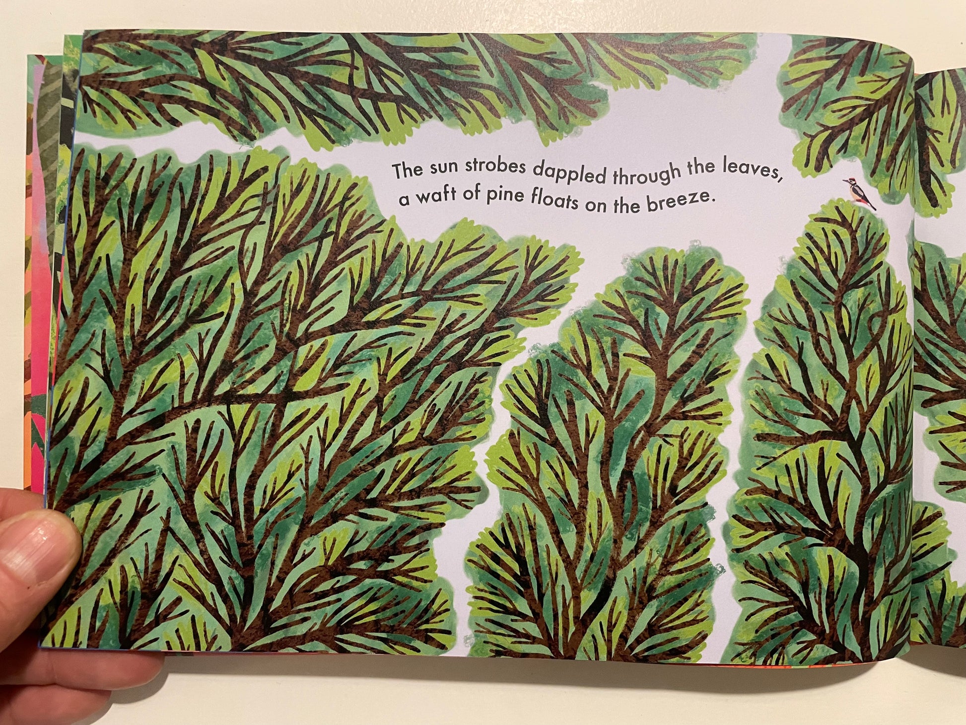 The Wisdom of the Woods