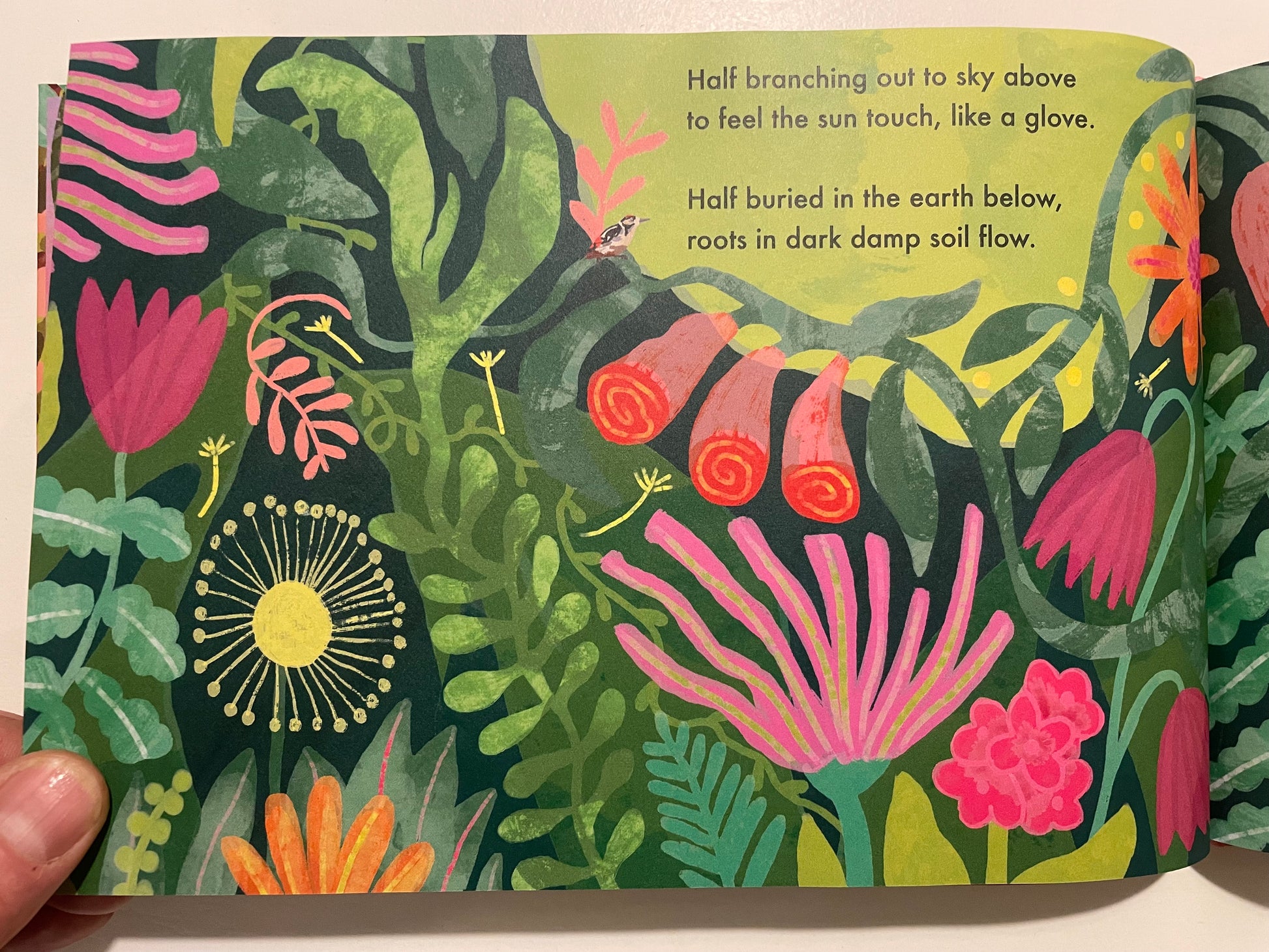 The Wisdom of the Woods