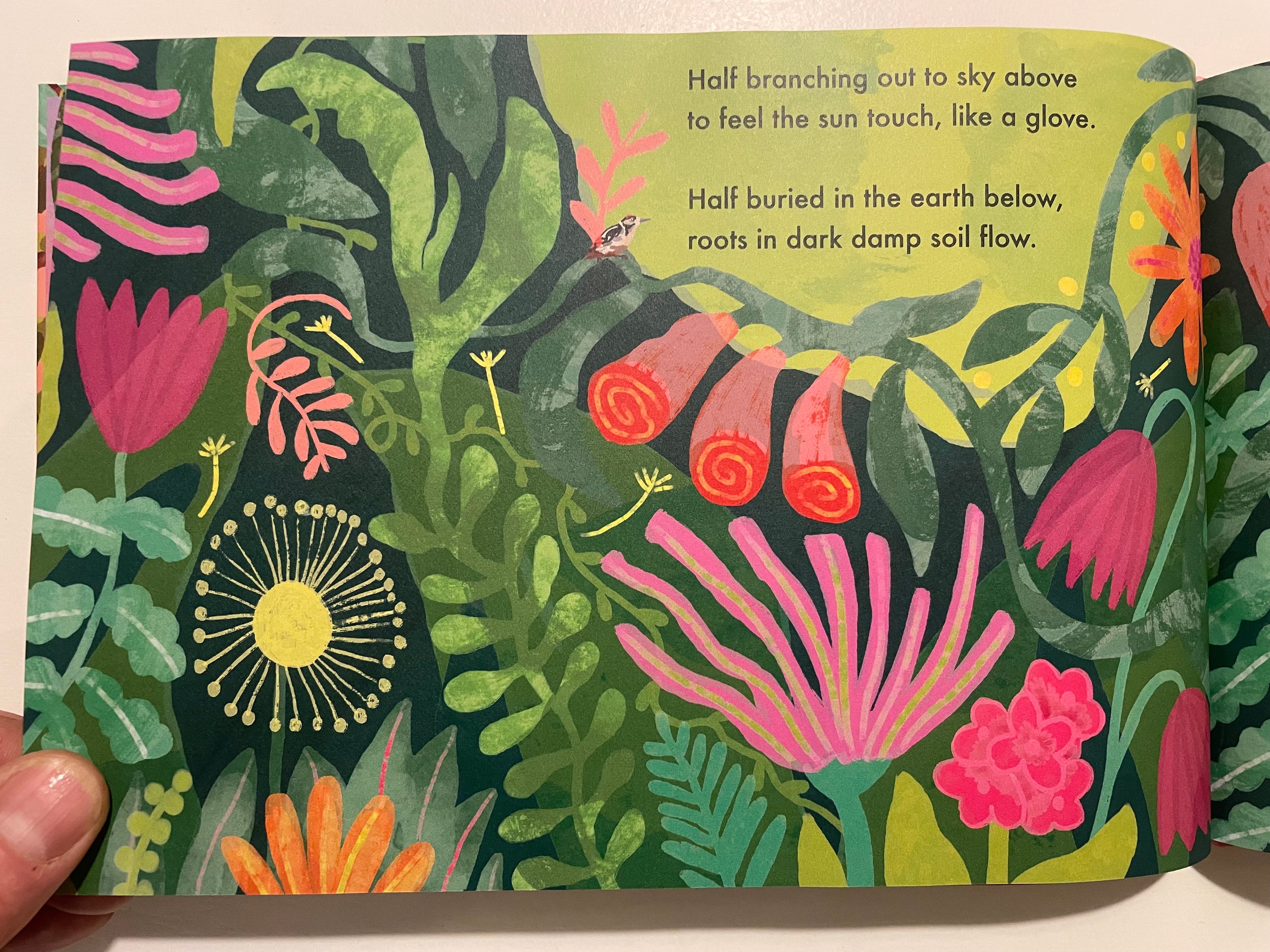 The Wisdom of the Woods