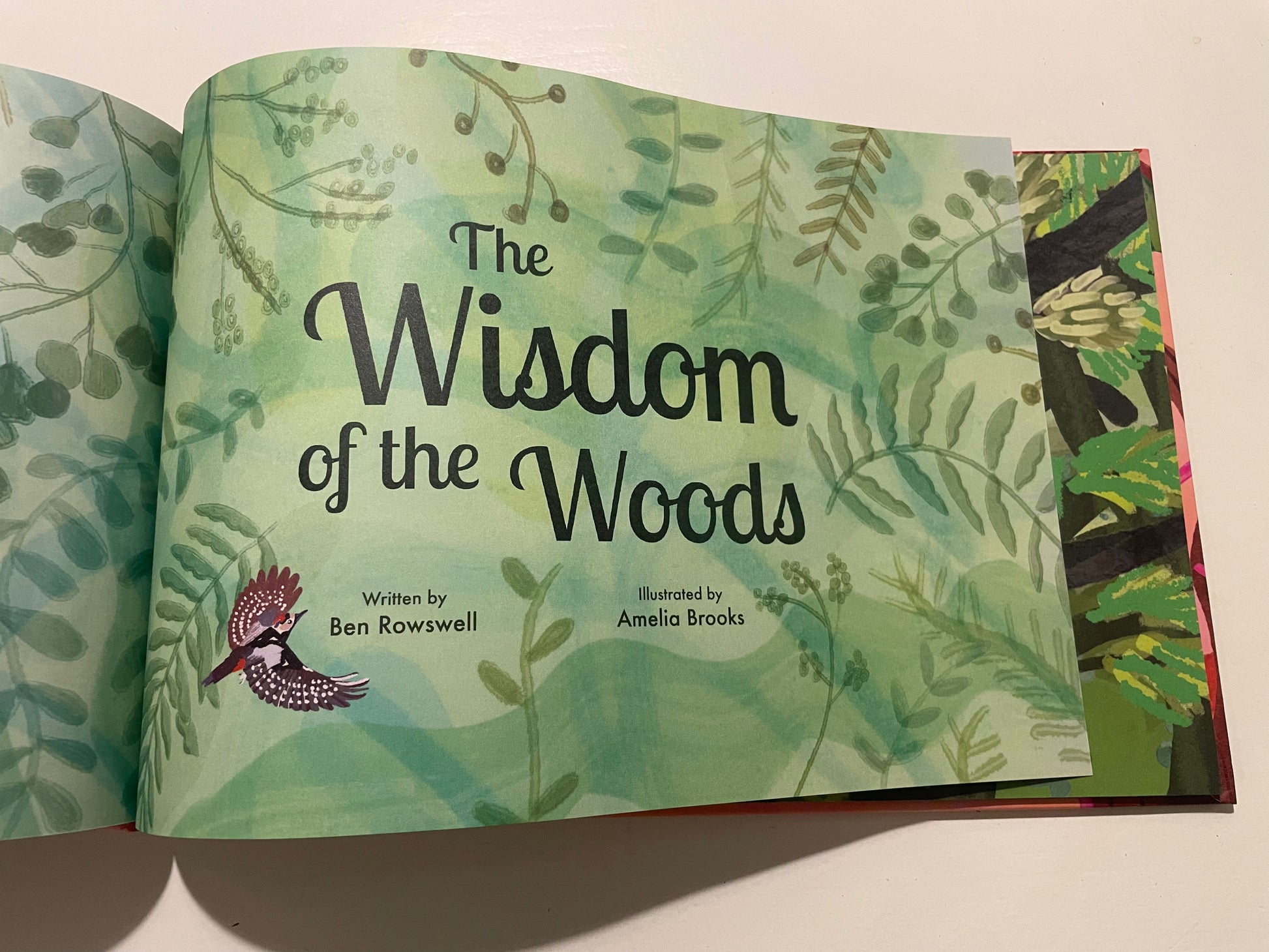 Book titled 'The Wisdom of the Woods' with green leafy design on a white background